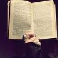 研究员张驰 头像