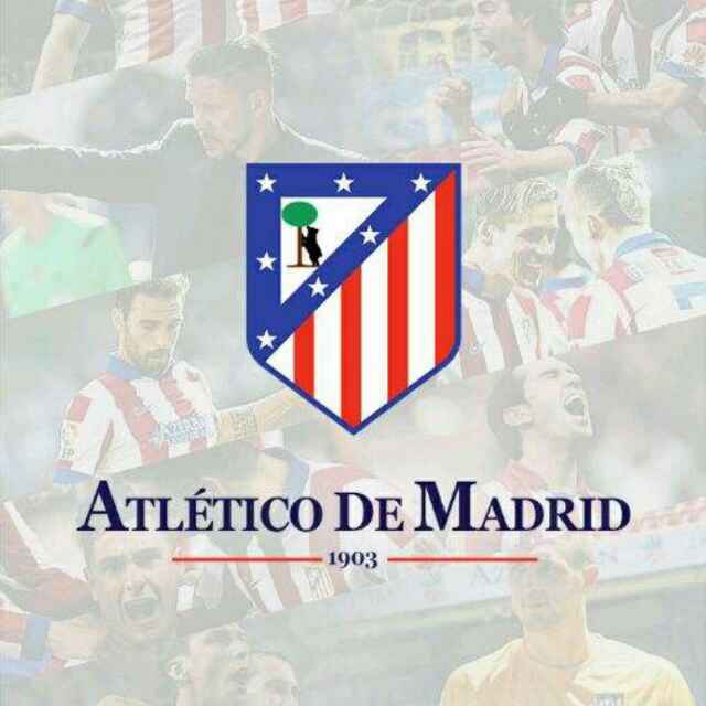 咸鱼翔子 头像