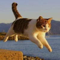 起飞了了了 头像