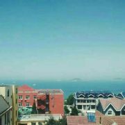 山丹丹花开蛋轰熊 头像