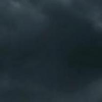 Shieldbreaker 头像