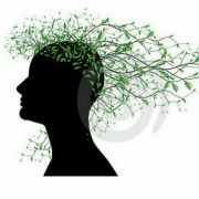 Hey亲爱的EXO 头像