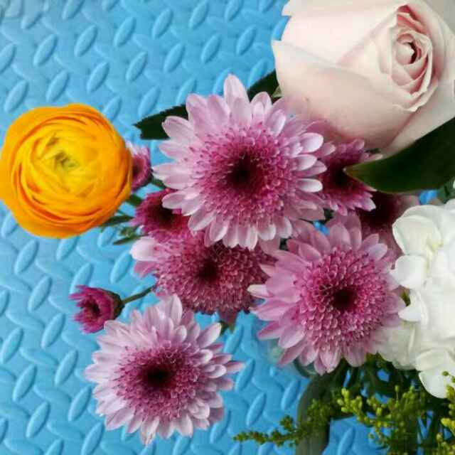 盈科律所 | 陈海龙 头像