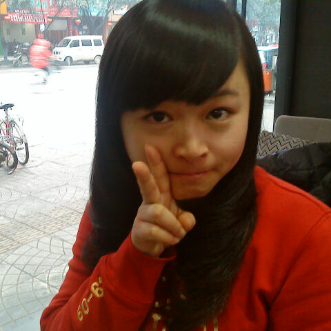 幸福时光的熊 头像