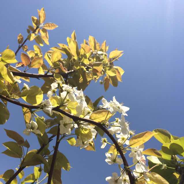 星空George Kong 头像