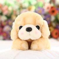 美妙的面包 头像