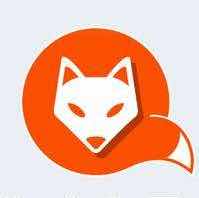 九尾狐网络科技 头像