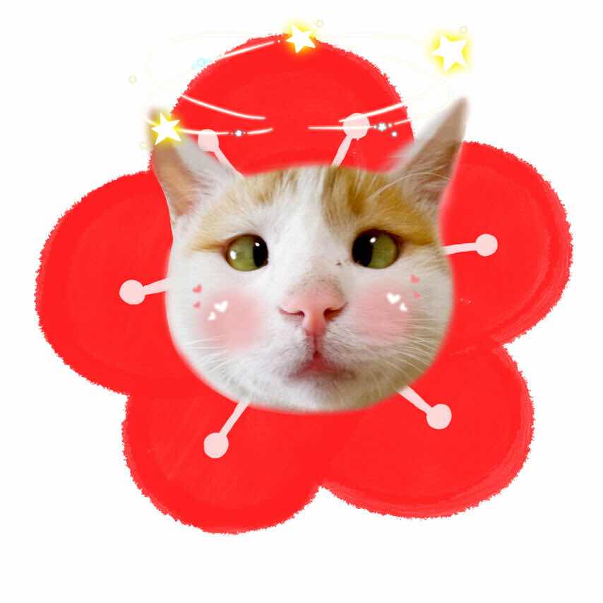 比 u 比 u 比 u 头像