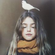 我不是杜鹃 头像