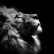 编程-红雨 头像