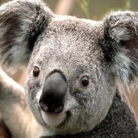 lightblue0904 头像