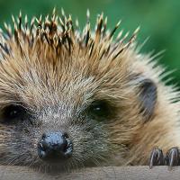 山＆在那边儿 头像
