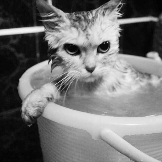 哇塞嘻嘻哈哈 头像