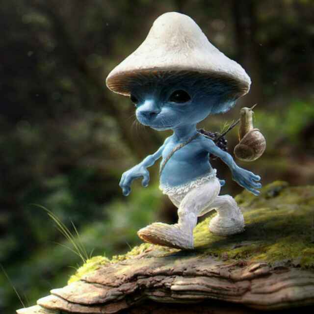 无所谓2014 头像