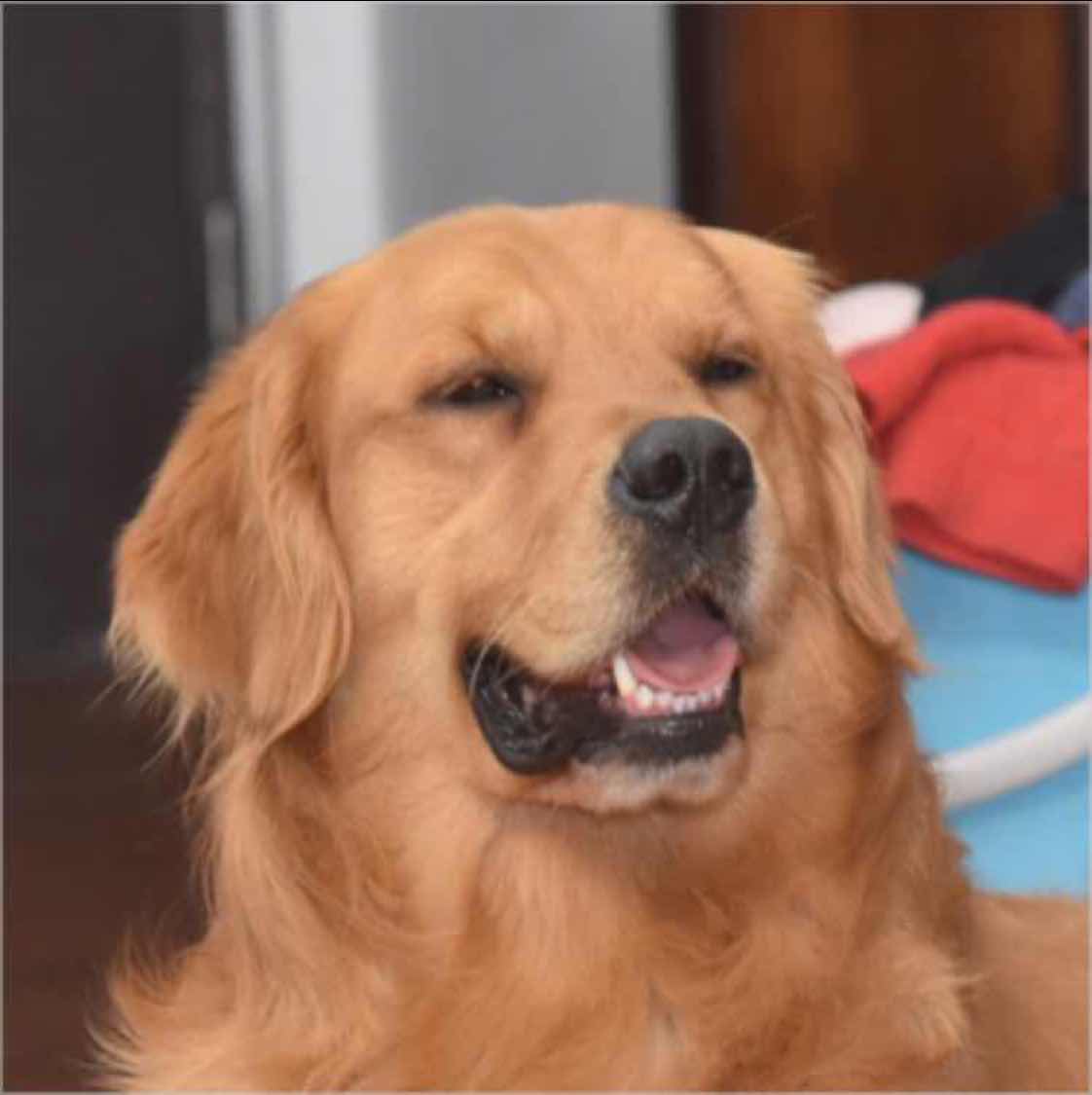 沦落猫🍃 🍂 🌾 头像