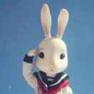 豆豆的日常 头像