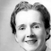 Jason Zhao@tuv 头像