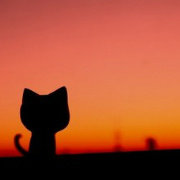 哪顺流逆流 头像