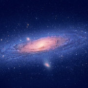 你说呆不呆 头像