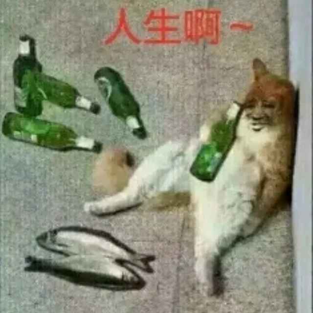 是菜花不是花菜 头像