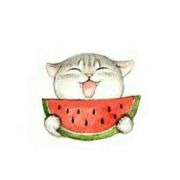 给你一颗小瓜子 头像