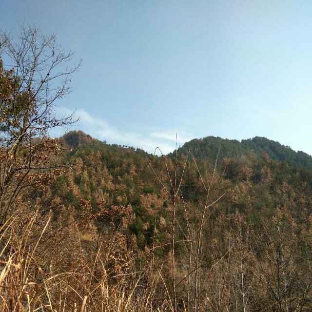 西拓电气田敏 头像