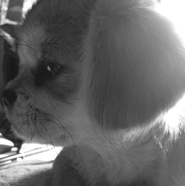 土方十四钧 头像