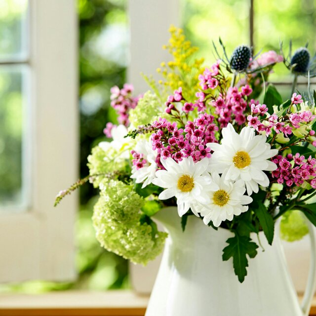 A凯福-周慧 头像