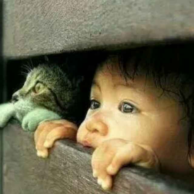 乌拉乌拉儿 头像