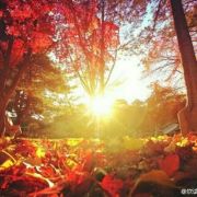 like_a_Goblin 头像