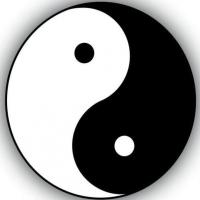 自有山比此山高 头像