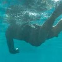 理想与爱同在 头像