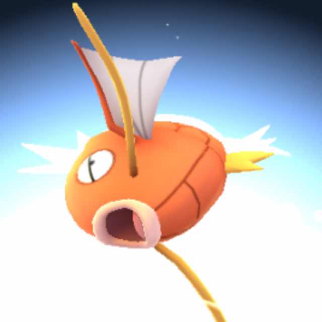 我家的猫会飞 头像