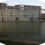 guotao19941016 头像