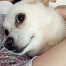 ProcessOn官方 头像