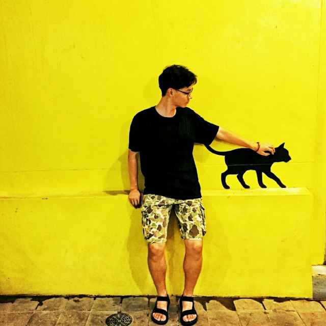 🔆ALala大羊驼君 头像