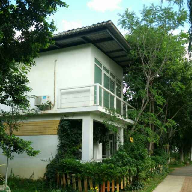 yangashuai666 头像