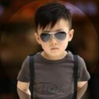 wang-lei海豚 头像