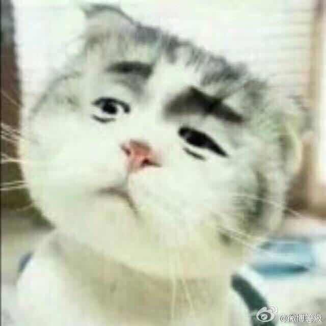 没心没肺的咩🐾จุ๊บ 头像
