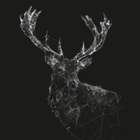 nikkinikkilee 头像