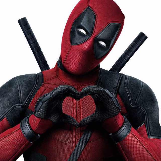 飞翔的猫咪 头像