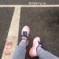 那只猫找你 头像