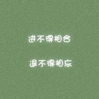 ™ 大熊 💢 头像