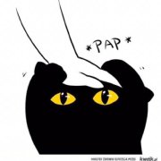 一团飞絮飘来飘去 头像