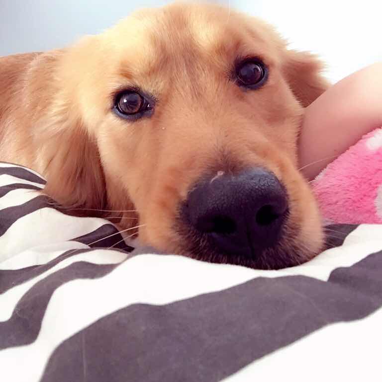 Sunny and Honey 头像