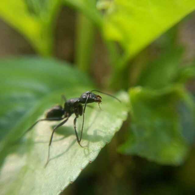 举子 头像