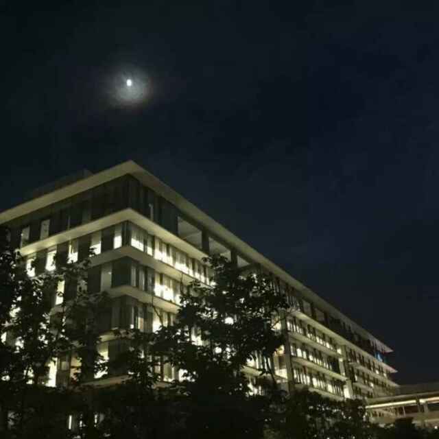 胡晸启(昊奕) 头像