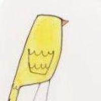 粽子Cocoonshu 头像