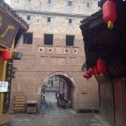 紫色郁金香21 头像