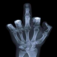 敢和我抢肉 头像